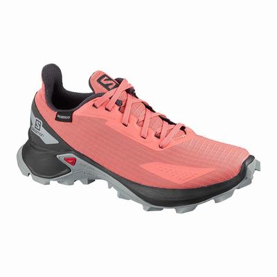 Gyerek Salomon ALPHACROSS BLAST CLIMASALOMON™ WATERPROOF Terepfutó Cipő SA2731586 Korall